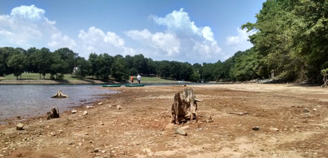 The water level at Jetton Park on Lake Norman was about three feet below normal on Friday, 8/14/15. (David Boraks photo) 