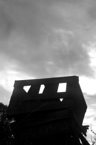 The Orchard at Alta Pass (©2008 David Boraks)