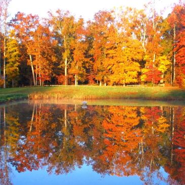 Land in the Ramah Creek Conservation Area north of Charlotte has been preserved. (Catawba Lands Conservancy photo)