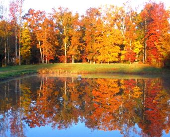 Land in the Ramah Creek Conservation Area north of Charlotte has been preserved. (Catawba Lands Conservancy photo)