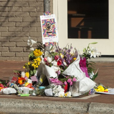 Shrine on South Main Street Davidson in memory of Janet McFadden, who was struck and killed by a garbage truck on April 1, 2016. (David Boraks photo)