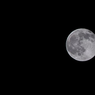 Luna was spectacular this evening, wasn't she? A full moon on the first day of summer. (David Boraks photo)
