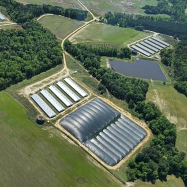 Hog farm and hog waste lagoons from the air